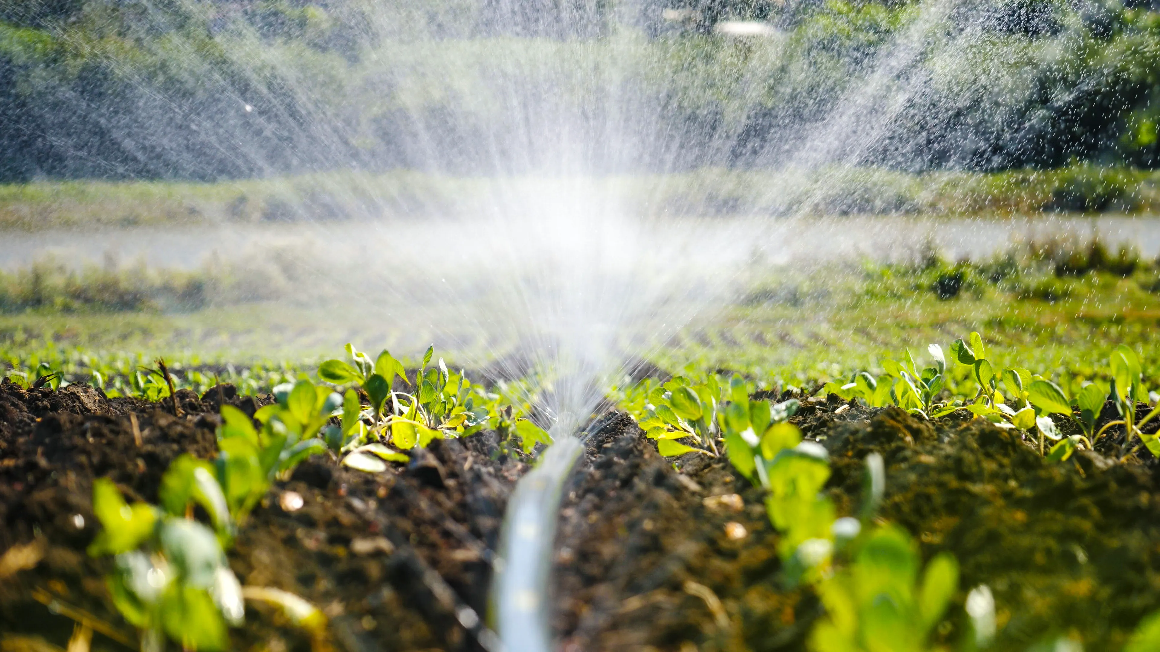 End-to-end allied plumbing services for commercial buildings
