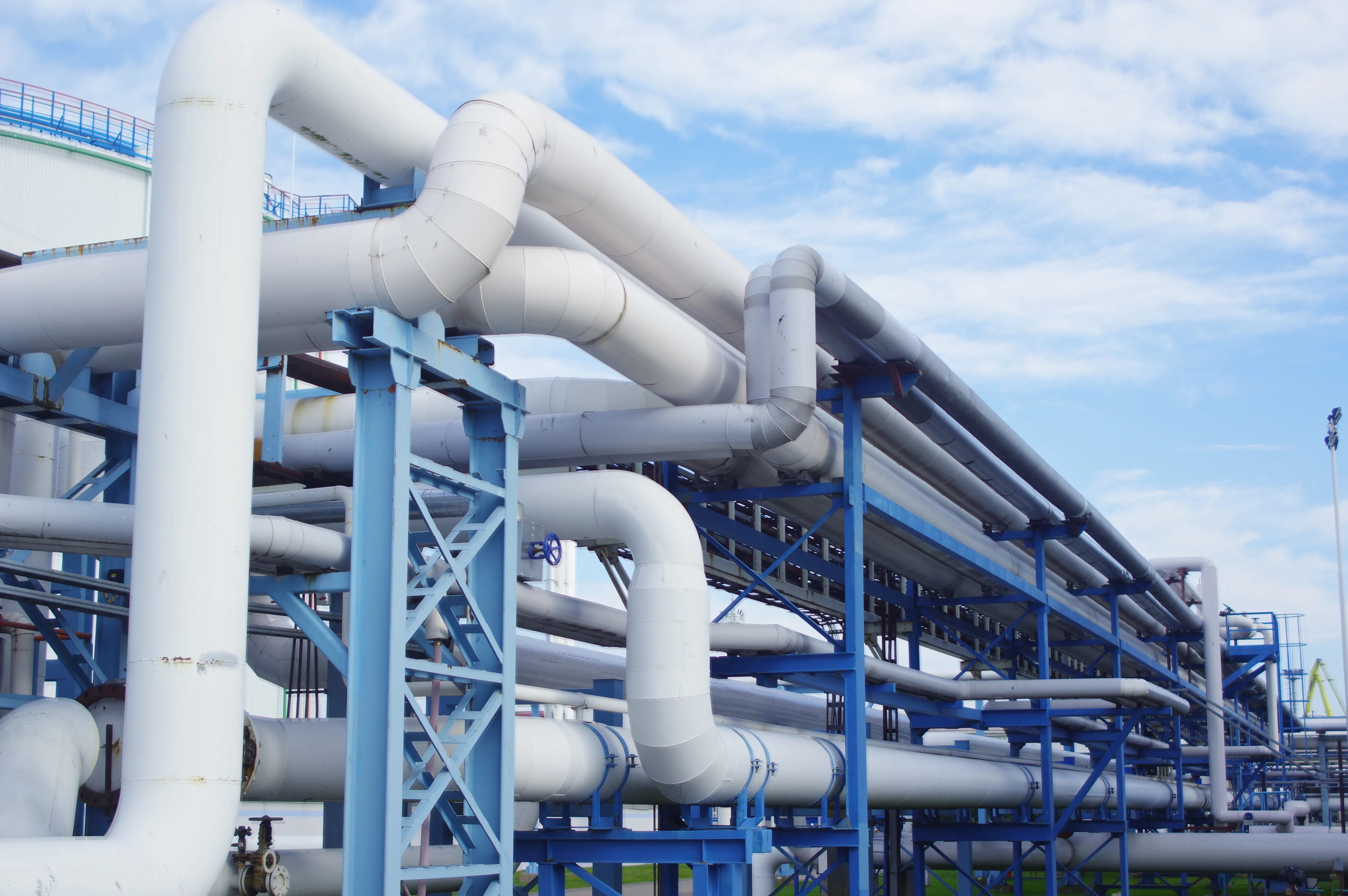 water plant near me